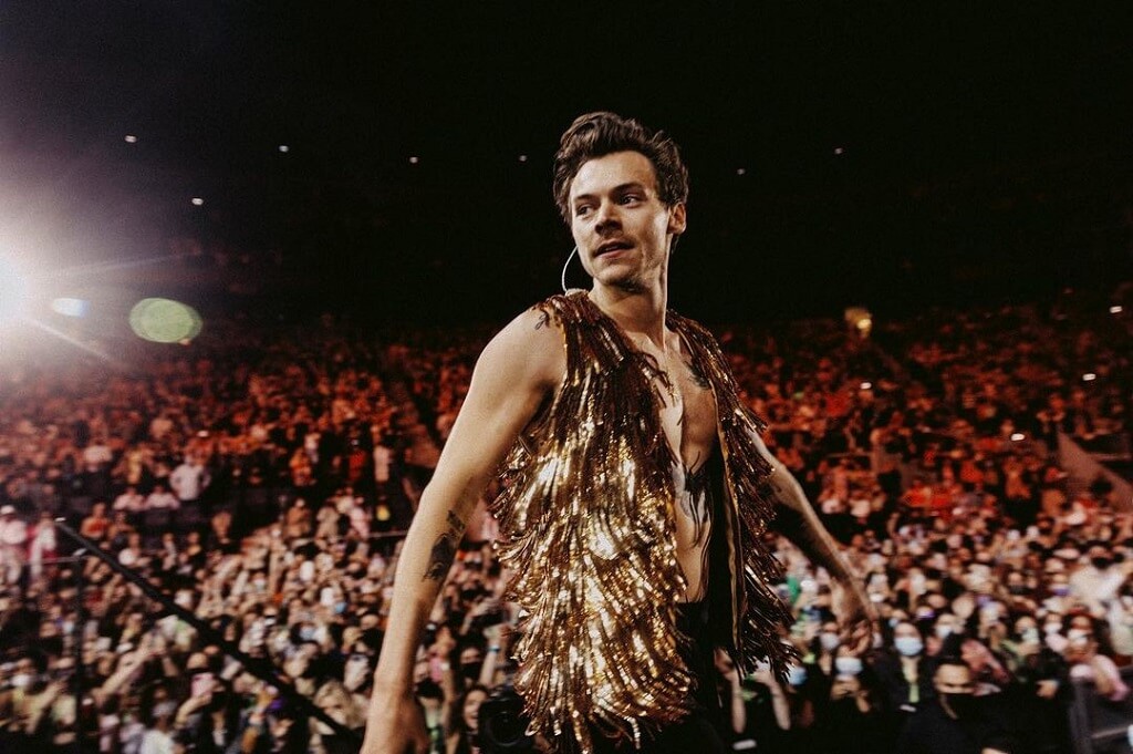 Estilos de Harry