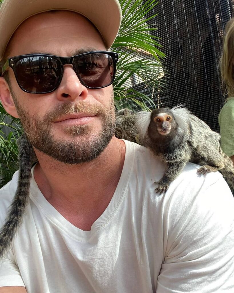 Chris Hemsworth